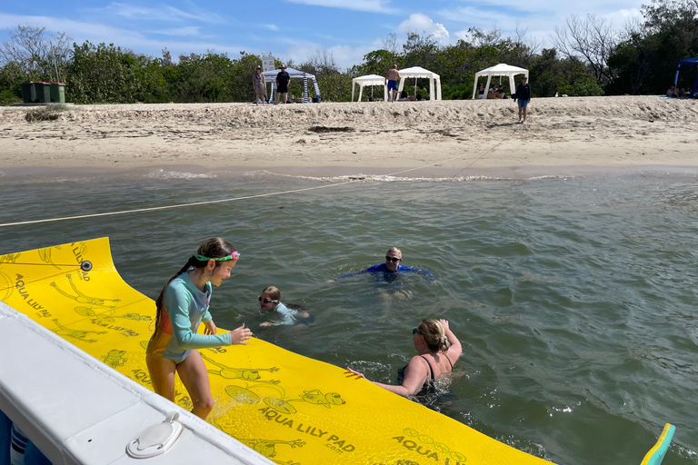 Cruzeiro de Pelicanos de Surfers Paradise para Wavebreak Island + piquenique