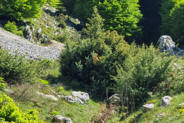 Mount Tomorri summit,hiking on the Holy Mountain