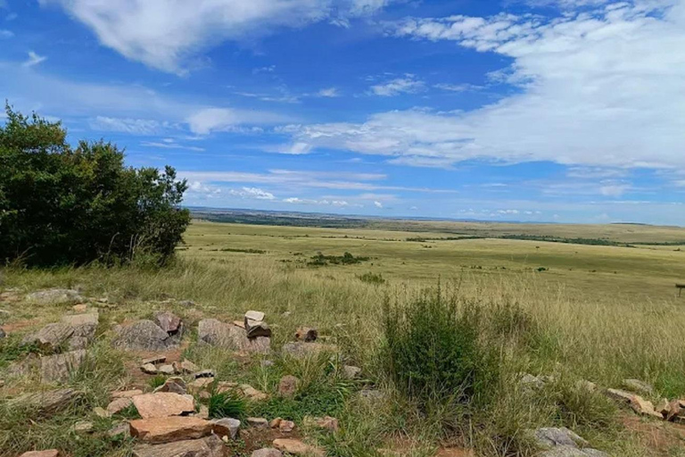 From Nairobi: National Park & Maasai Mara Safari Guided Tour