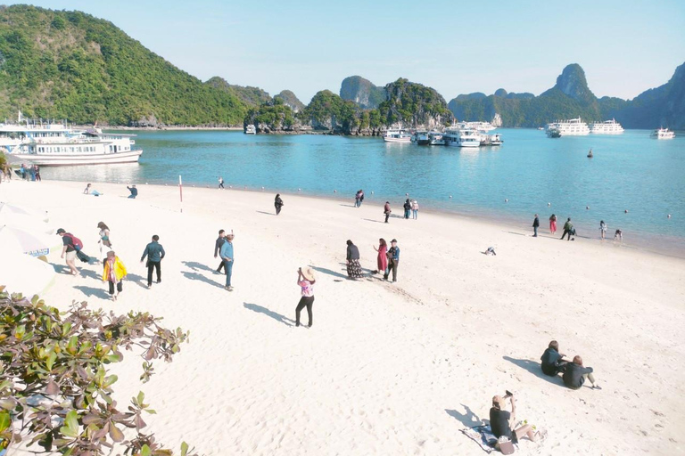 Desde Hanoi: Crucero de lujo de un día por la bahía de Ha Long con comida y kayakExcursión con punto de encuentro en el puerto de Tuan Chau