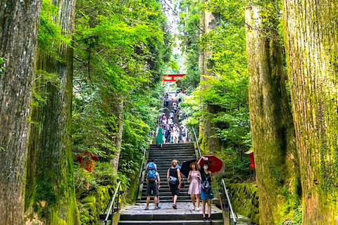 4 Días Privados MT Fuji Tokio Kamakura Hakone Nikko YokohamaTour Privado Guiado de 4 DíasMT Fuji Tokio Kamakura Hakone Nikko