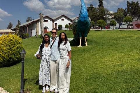 Addis Ababa Layover Tour: Unity Park, Coffee & Local Lunch