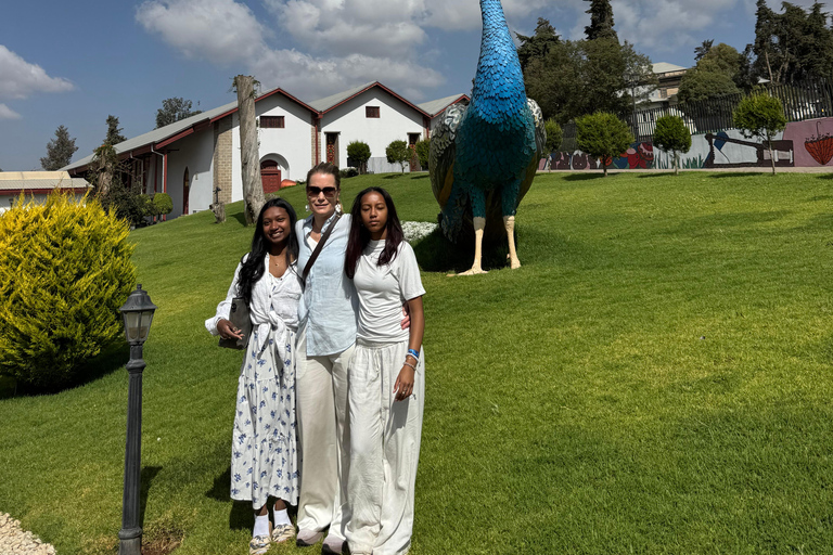 Addis Ababa Layover Tour: Unity Park, Coffee & Local Lunch