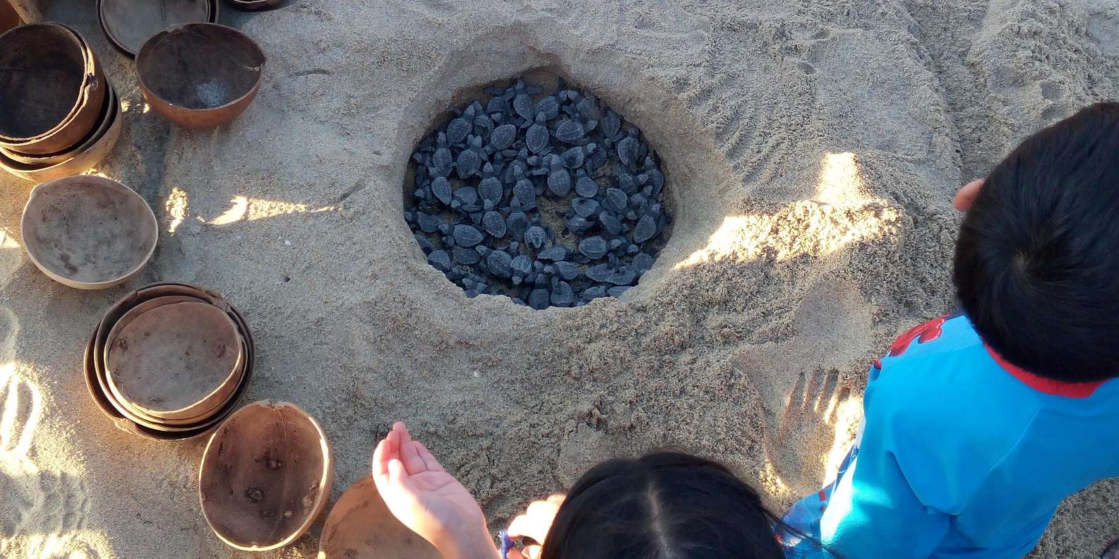 劳力士与“蓝色使命”计划, image size:1585x792