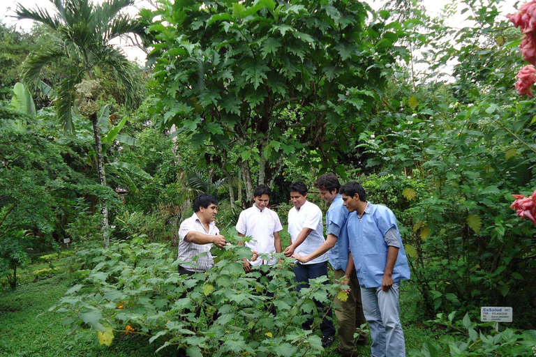 Von Iquitos aus: Halbtagestour Paradies