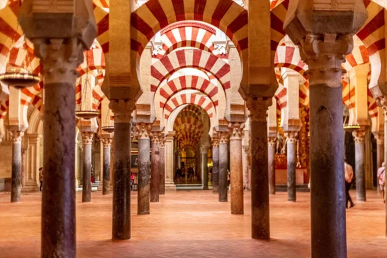 Sevilha a Córdoba com tempo livre ou Mesquita e SinagogaVisita guiada a Córdoba, Mesquita e Sinagoga.