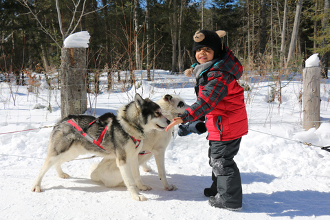 Mont-Tremblant: Dogsledding Valley Adventure