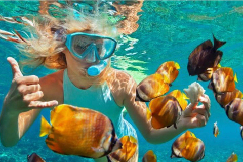 Bali: Blue Lagoon & Tanjung Jepun Snorkeling Tickets Snorkelling only ( NO Lunch Option )