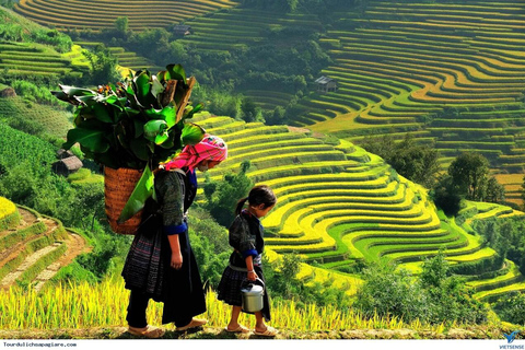 Hanoi: 3 días de senderismo por Sapa Cat Cat, Lao Chai, Puentes de Cristal