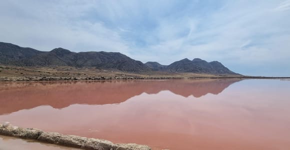 Guided visit of the Cabo de Gata salt flats