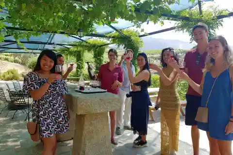 Do Porto: Visita às 3 Quintas do Douro com Almoço
