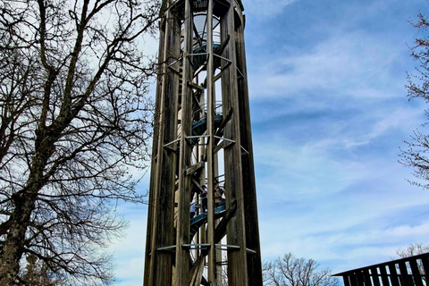 GurtenPark–Bern: 360° Viewpoint, Toboggan Run, and Cheese Picnic Gurten Park – Bern: Small Group Tour