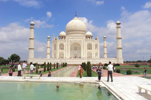 Agra: Tour SOS all&#039;alba del Taj Mahal e della fauna selvatica degli elefantiTour privato con biglietti d&#039;ingresso e pranzo