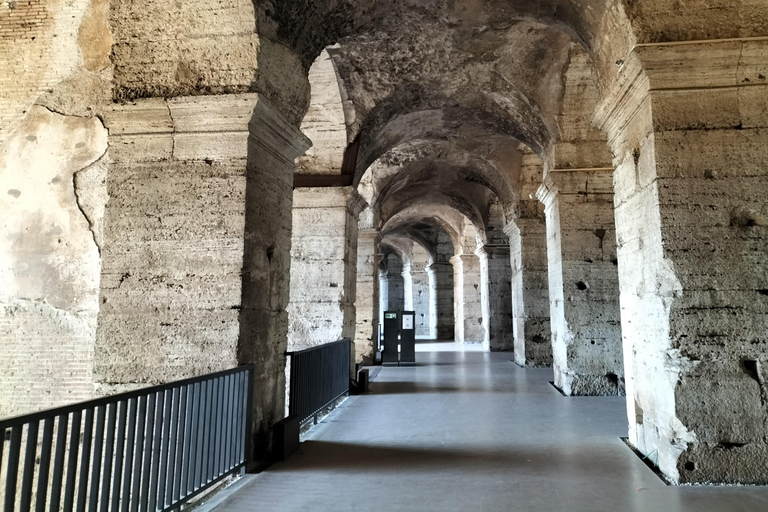 Rome: Colosseum and Ancient Rome Guided Tour