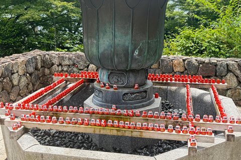 Osaka: Private Nara & Osaka Highlights Tour with Guide
