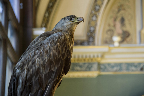 فيينا: تذكرة إلى متحف التاريخ الطبيعي