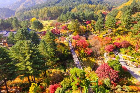 From Seoul: Nami Island, Garden of Morning Calm & Rail Bike