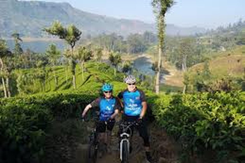 Aventura de bicicleta: Passeio de Bandarawela a Karadagolla