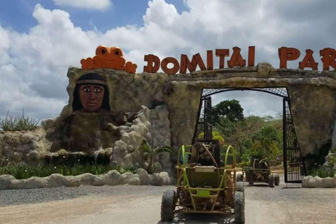 Punta Cana: Domitai Park Zipline, Buggy & Cenote Tour