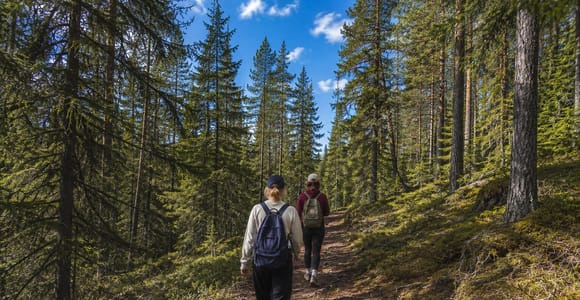 Rovaniemi: Korouoma Canyon Autumn Hike & BBQ