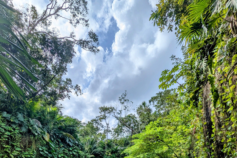 Tulum Instagram: Giant Sculpture, Cenote Atik & City of Arts