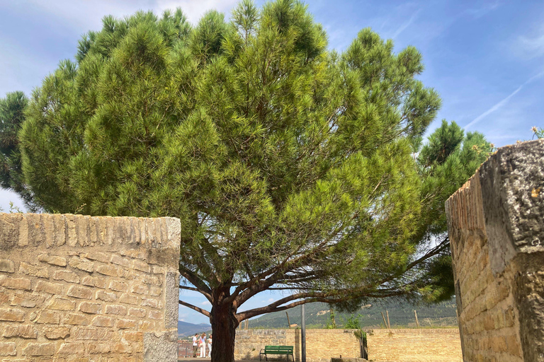 Cobblestones Tour Pamplona: Immersive Medieval Tour English Cobblestones Tour Pamplona: Immersive Medieval Tour English