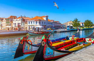 Ab Porto: Halbtagestour nach Aveiro mit einstündiger Kreuzfahrt