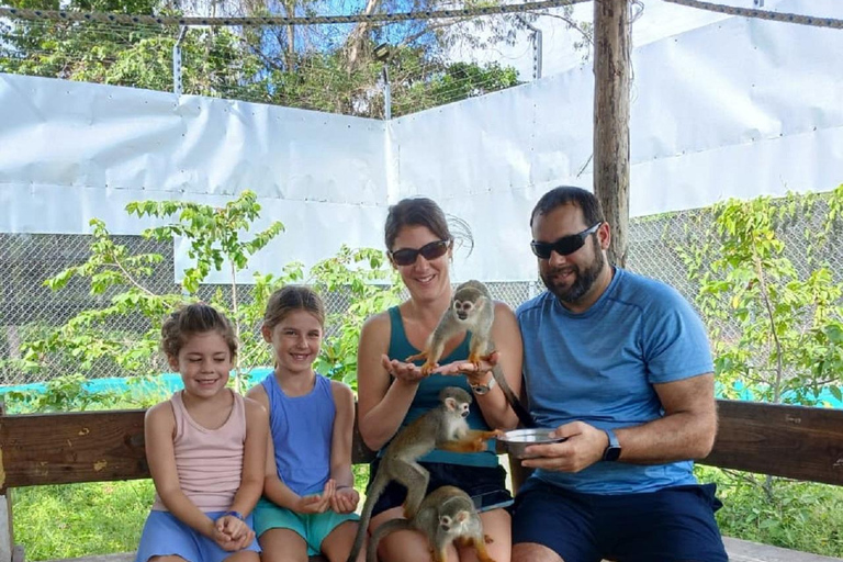 Puerto Plata: Countryside tour with Monkey Home, butterflies, and coffee