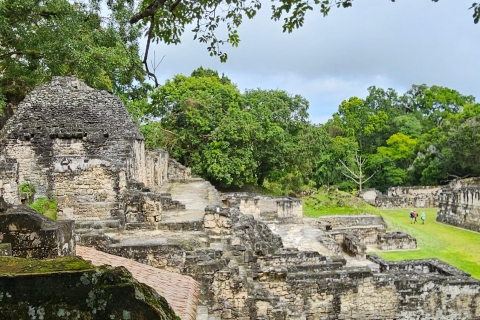 Tikal depuis Flores ou l'aéroport de Mundo MayaTikal Desde Flores o Aeropuerto Mundo Maya
