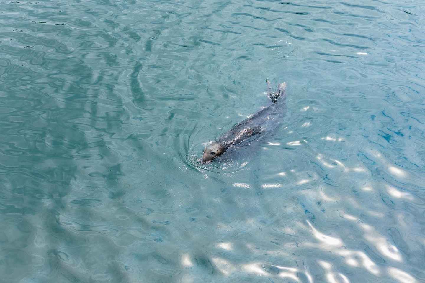 Dublin: Howth Coast and Ireland's Eye Boat Tour