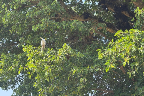 Addis Abeba: 12-tägige Tour durch das Omo-Tal und den Großen Afrikanischen Grabenbruch