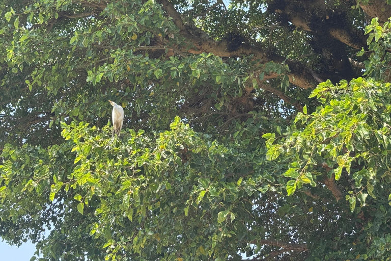 Addis Abeba: 12-tägige Tour durch das Omo-Tal und den Großen Afrikanischen Grabenbruch