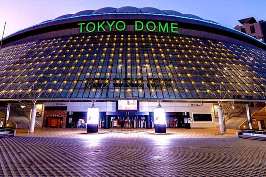 Tokyo Dome: Yomiuri Giants Baseball Spiel Ticket mit Handtuch. Foto: GetYourGuide