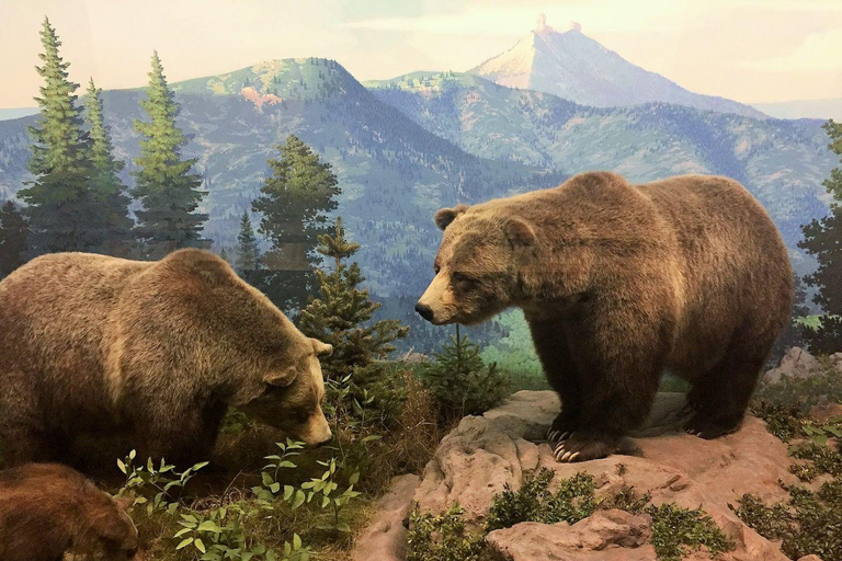 Denver: Museum of Nature and Science Ticket & Digital Tour