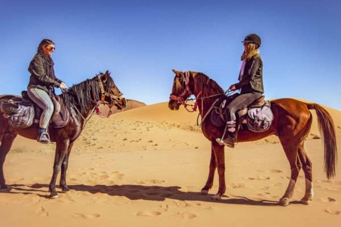 Sharm: Arabischer Abenteuerritt & Kamelritt mit FrühstückSharm: Reitausflug & Kamelritt Wüstenabenteuer mit Frühstück