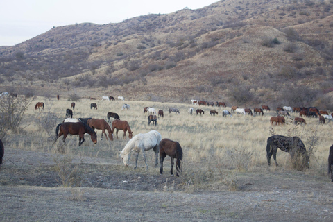 One-day exciting tour to the Vashlovani Nature Reserve