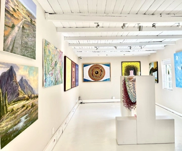 Art Tour with Fine Wine Tasting in Franschhoek