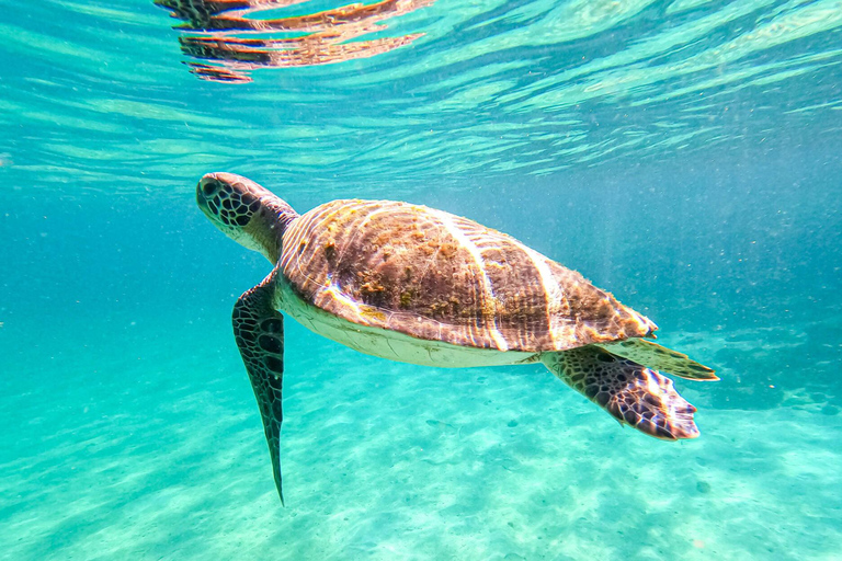 Daylong Excursion to Angra dos Reis and Ilha Grande