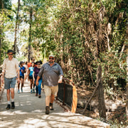 From Darwin: Kakadu Wilderness Escape & Rock Art Day Tour