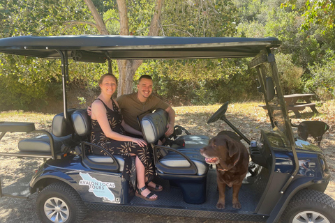Avalon: Private Golf Cart Tour with Driver-Guide