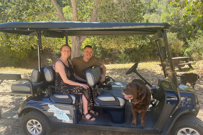 Avalon: Private Golf Cart Tour with Driver-Guide