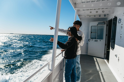 San Pedro: West Harbor LA Dolphin & Whale Watching Cruise
