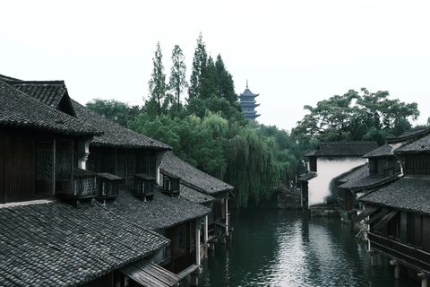 From Hangzhou: Wuzhen Water Town Day Trip & Night Lights