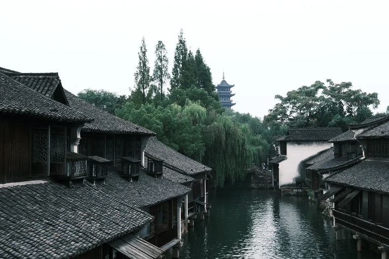 From Hangzhou: Wuzhen Water Town Day Trip & Night Lights