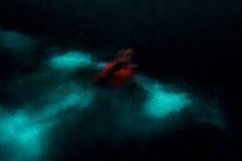Bioluminescence in Puerto Escondido: Glow in the Manialtepec Lagoon Bioluminescence in Puerto Escondido: Glow in Laguna de Manialtepec