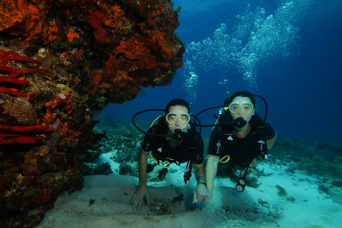 CANCUN: FIRST TIME DIVERS CANCUN