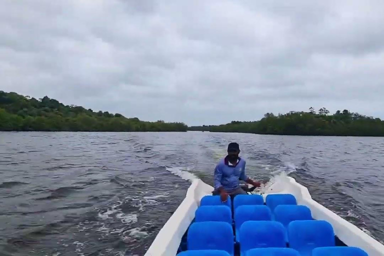 Bentota: River Safari with Hotel Pickup and Drop-off