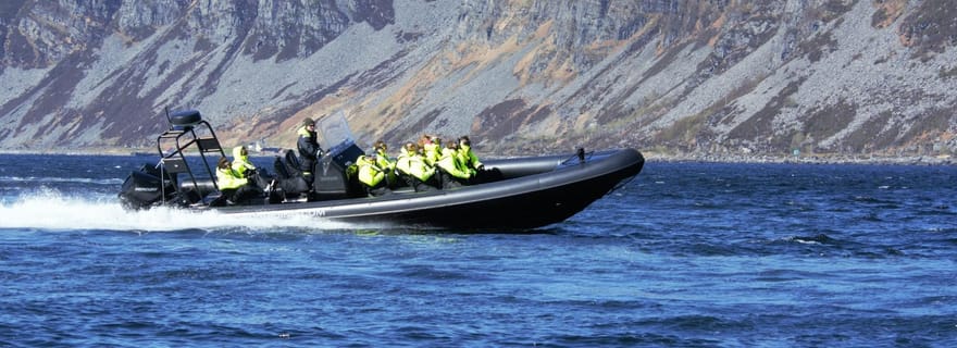Måløy: RIB Boat Safari