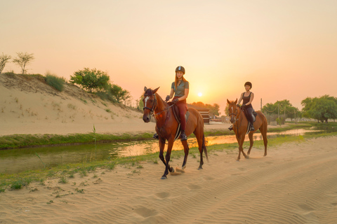 Dubai: Al Marmoom Oasis Horse Riding Experience with Snack 30-Minute Horse Ride with Hotel Pickup and Drop-Off