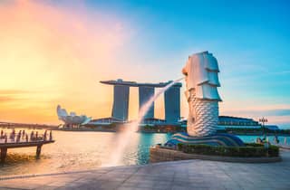 Singapur: Gemeinsame Stadtführung mit Van/Bus